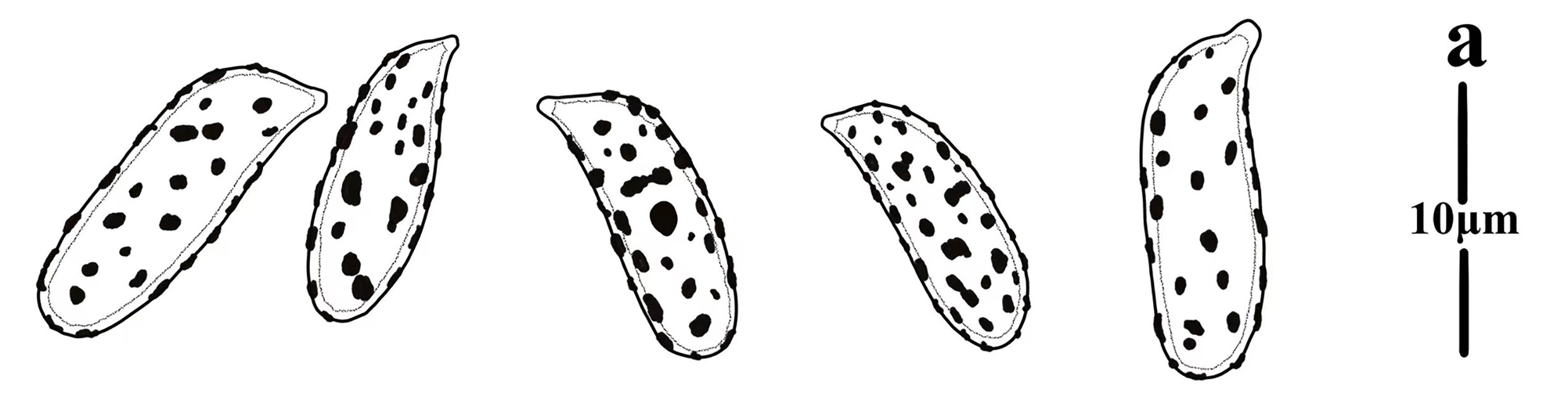 Figure 102